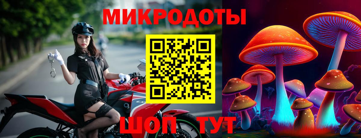 Псилоцибиновые грибы Cubensis Якутск