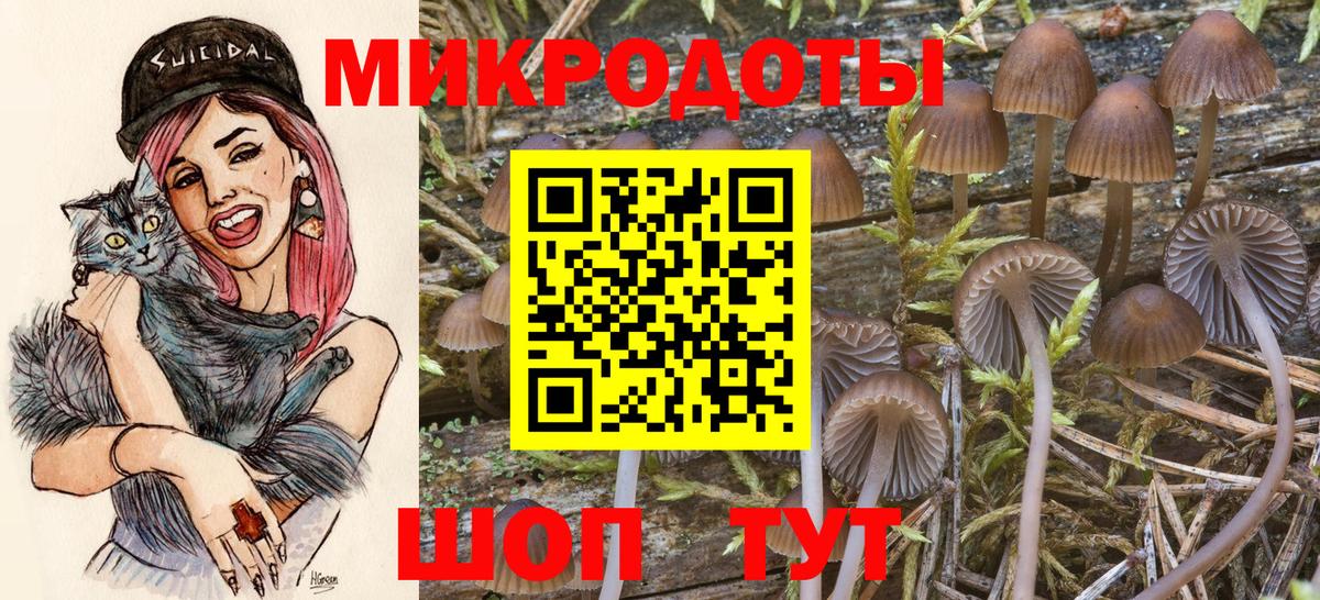 Галлюциногенные грибы Cubensis  Вход с VPN  купить закладку  Якутск 